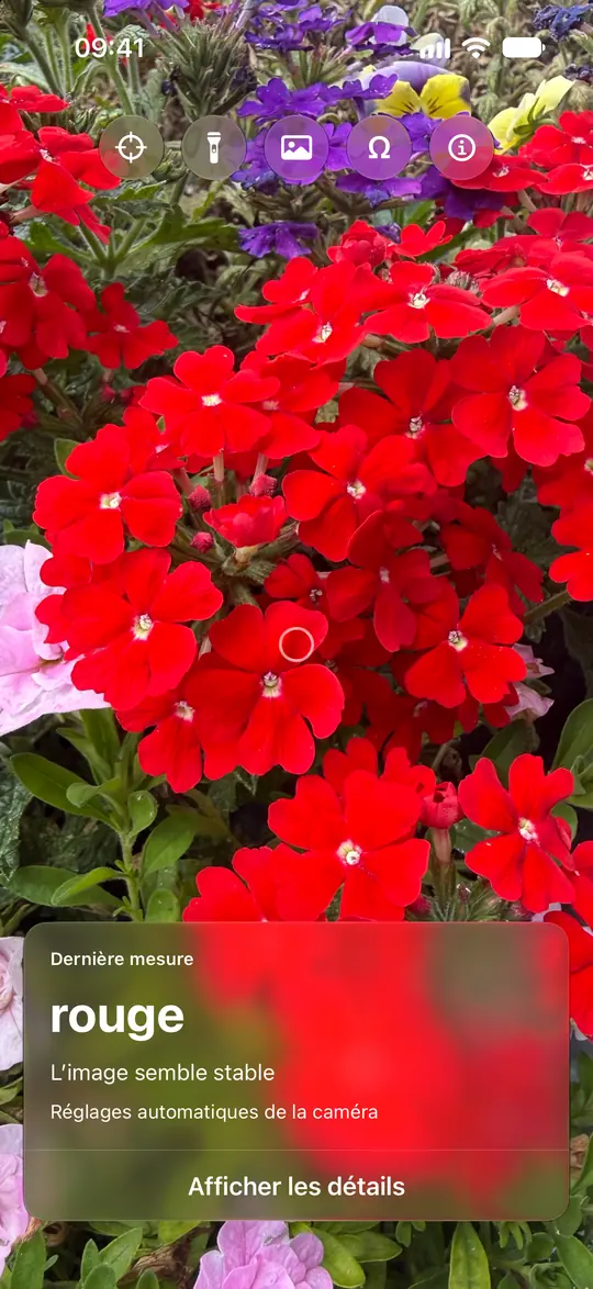 Opsino identifie du rouge dans le cercle sur une fleur rouge.