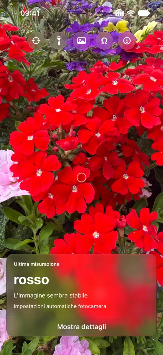 Opsino identifica il rosso nel cerchio su un fiore rosso.
