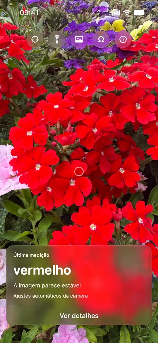 O Opsino identifica vermelho dentro do círculo sobre uma flor vermelha.