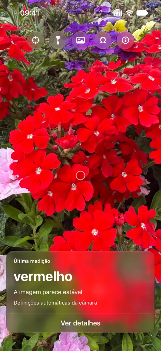 Opsino identifica vermelho dentro do círculo numa flor vermelha.