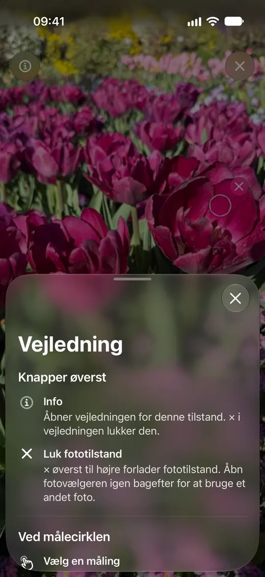 Opsinos fotoguide forklarer cirklen, zoom og fjernelse af en måling.