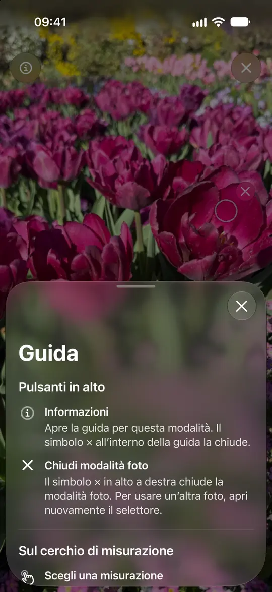 La guida foto di Opsino spiega cerchio, zoom e rimozione di una lettura.