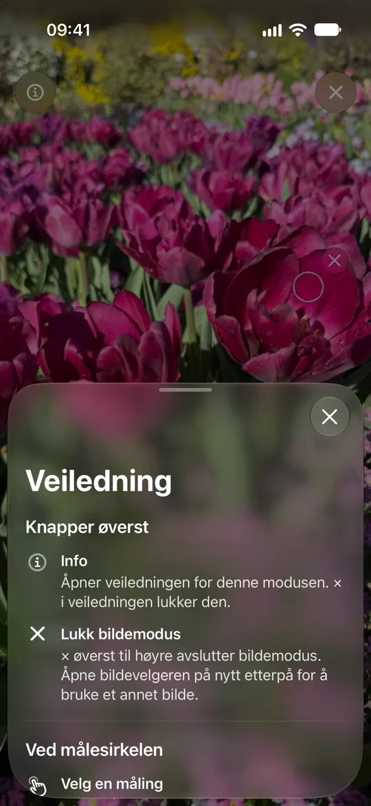 Opsinos bildeveiledning forklarer sirkelen, zoom og fjerning av en måling.