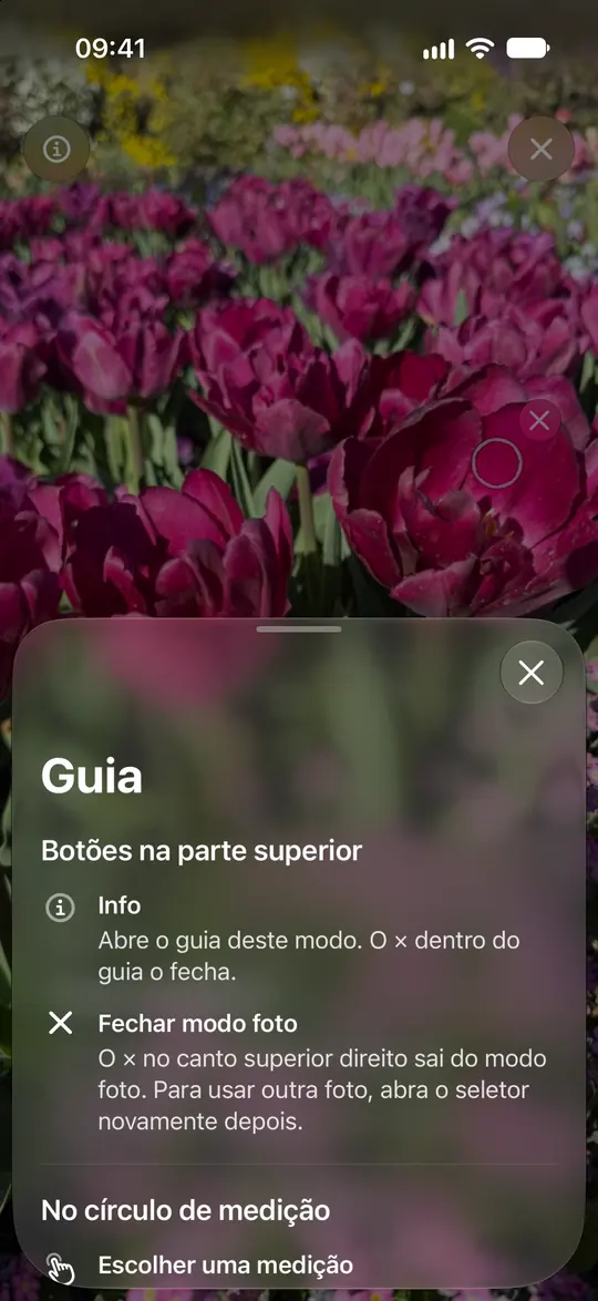 O guia de fotos do Opsino explica o círculo, o zoom e a remoção de uma leitura.