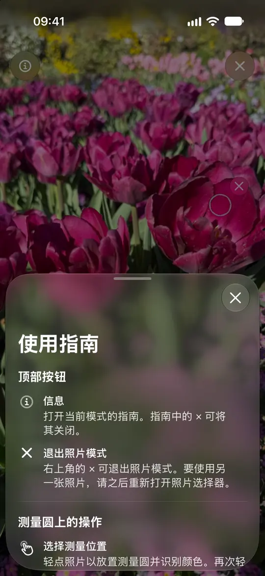 Opsino 的照片指南解释测量圆、缩放及移除读数的操作。