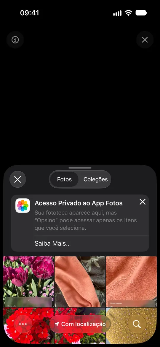 O seletor de fotos do iOS explica que o Opsino recebe apenas as fotos selecionadas.