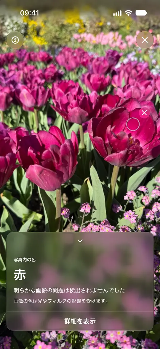 Opsinoがチューリップの写真を分析しています。円は花びらの上にあり、結果は赤と表示されています。