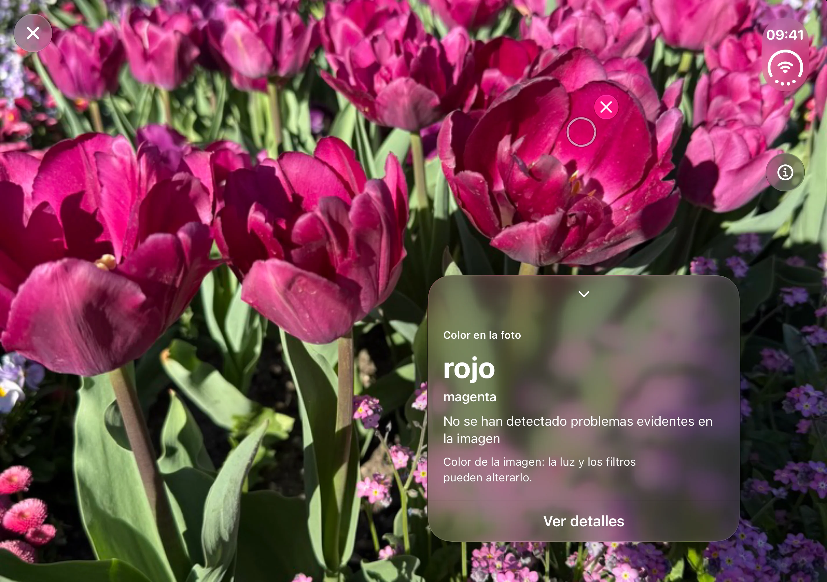 Opsino: foto y círculo a la izquierda, resultado del color a la derecha en la pantalla interior