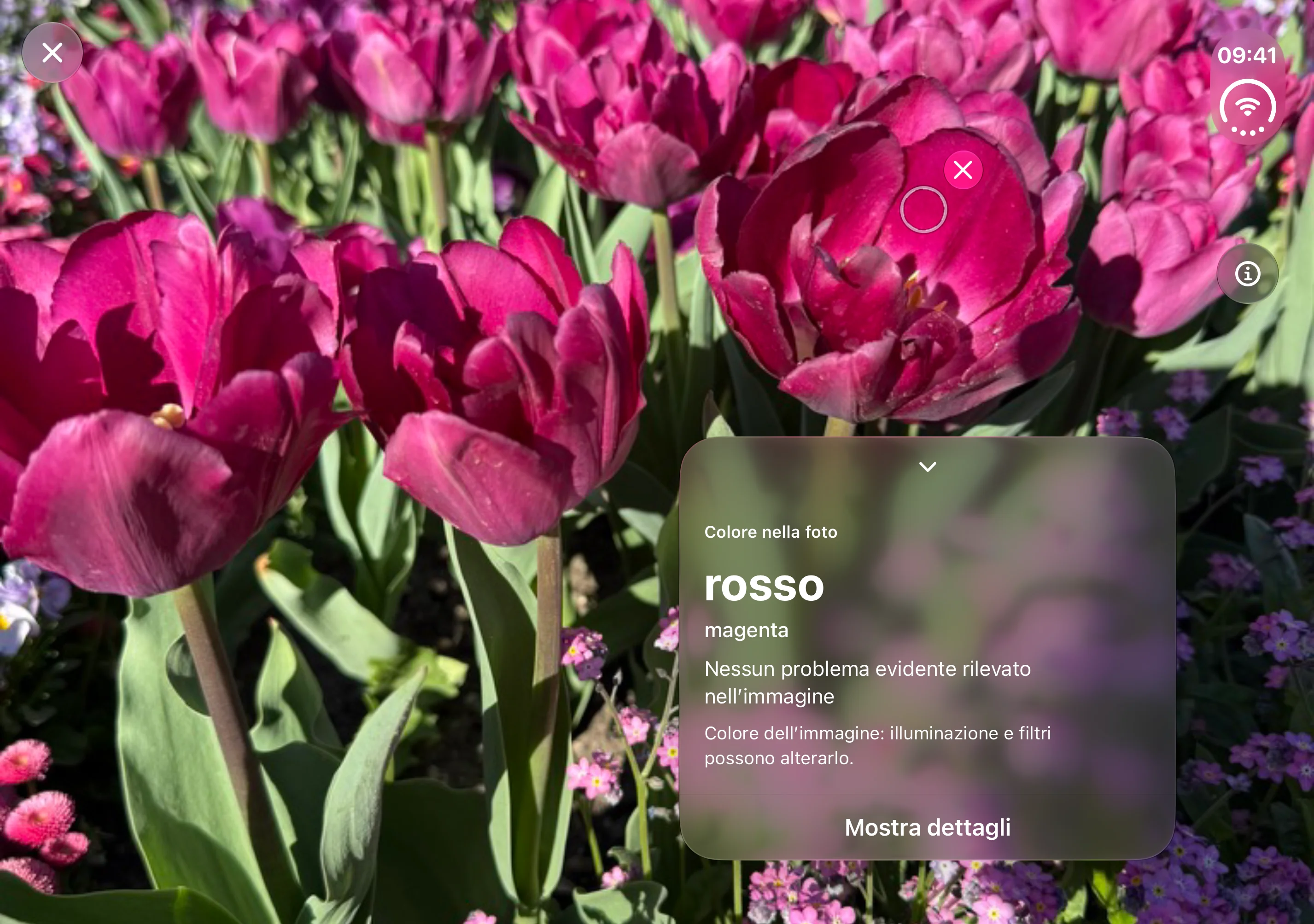 Opsino: foto e cerchio a sinistra, risultato del colore a destra sul display interno