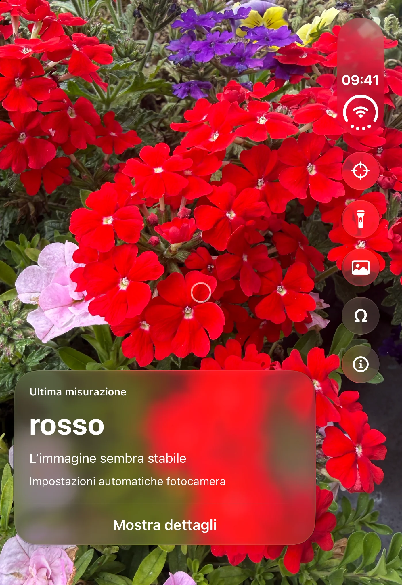 Opsino: fotocamera con cerchio di misurazione e nome del colore sul display esterno