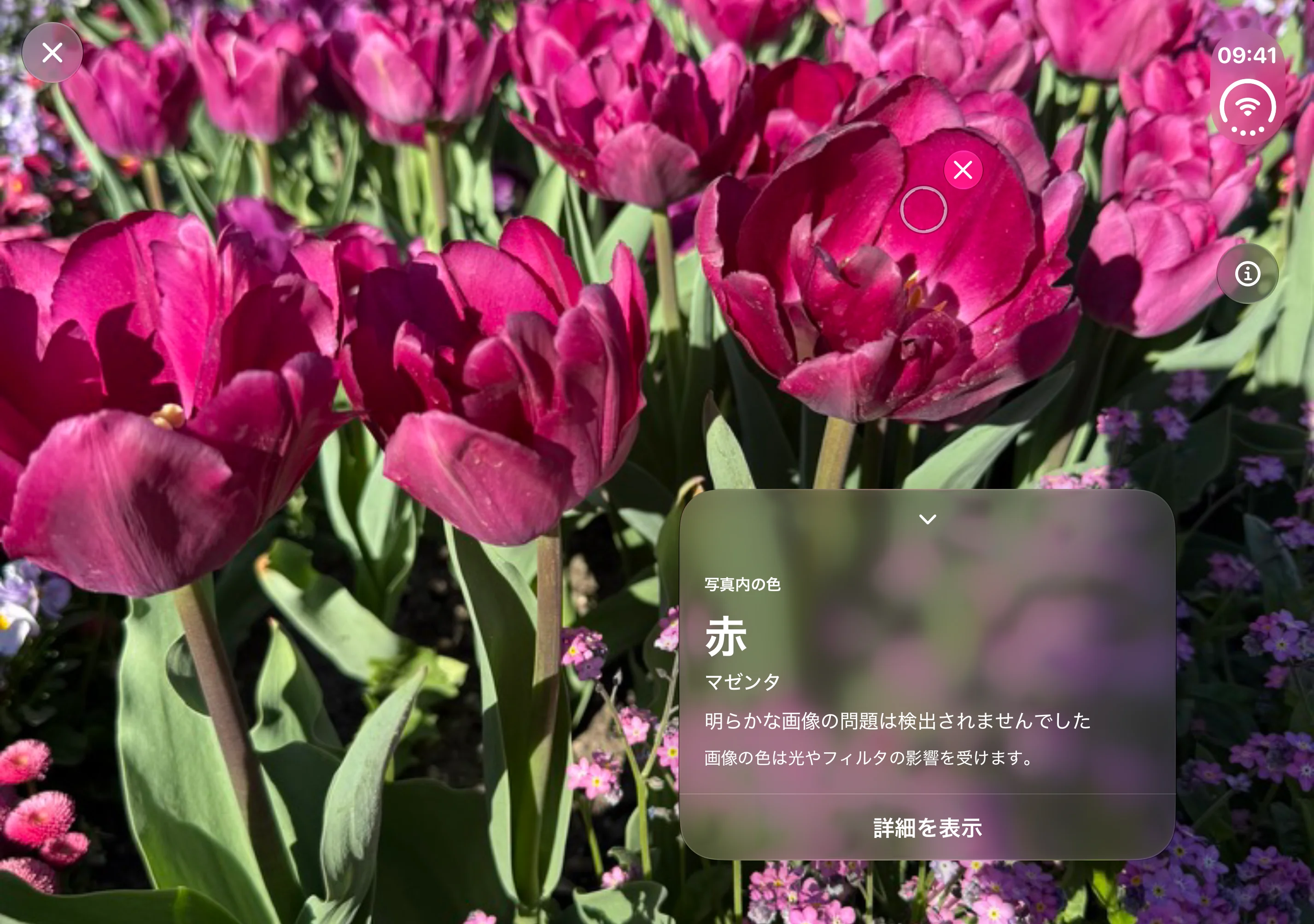 Opsino：内側のディスプレイの左側に写真と測定サークル、右側に色の結果