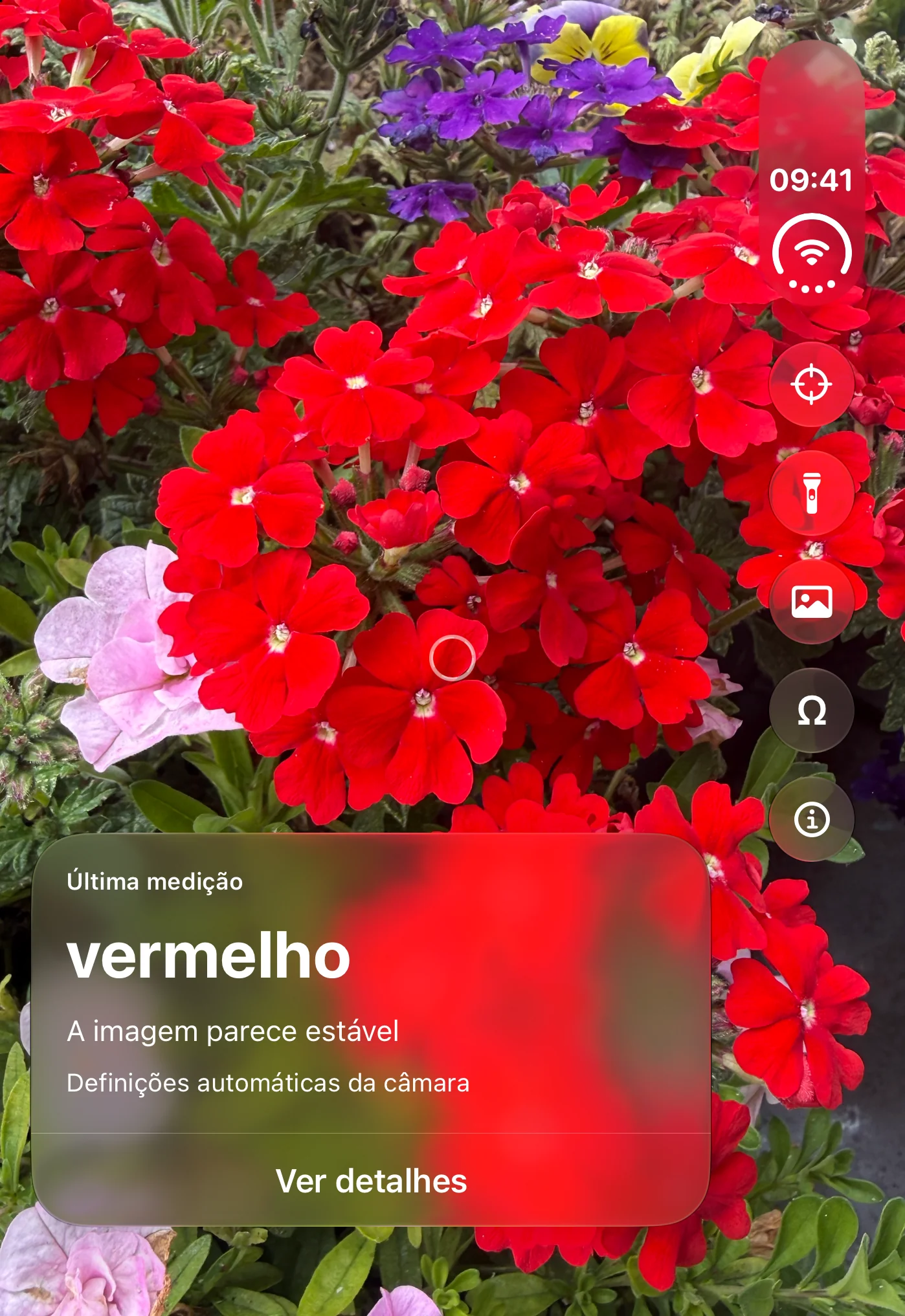 Opsino: câmara com círculo de medição e nome da cor no ecrã exterior