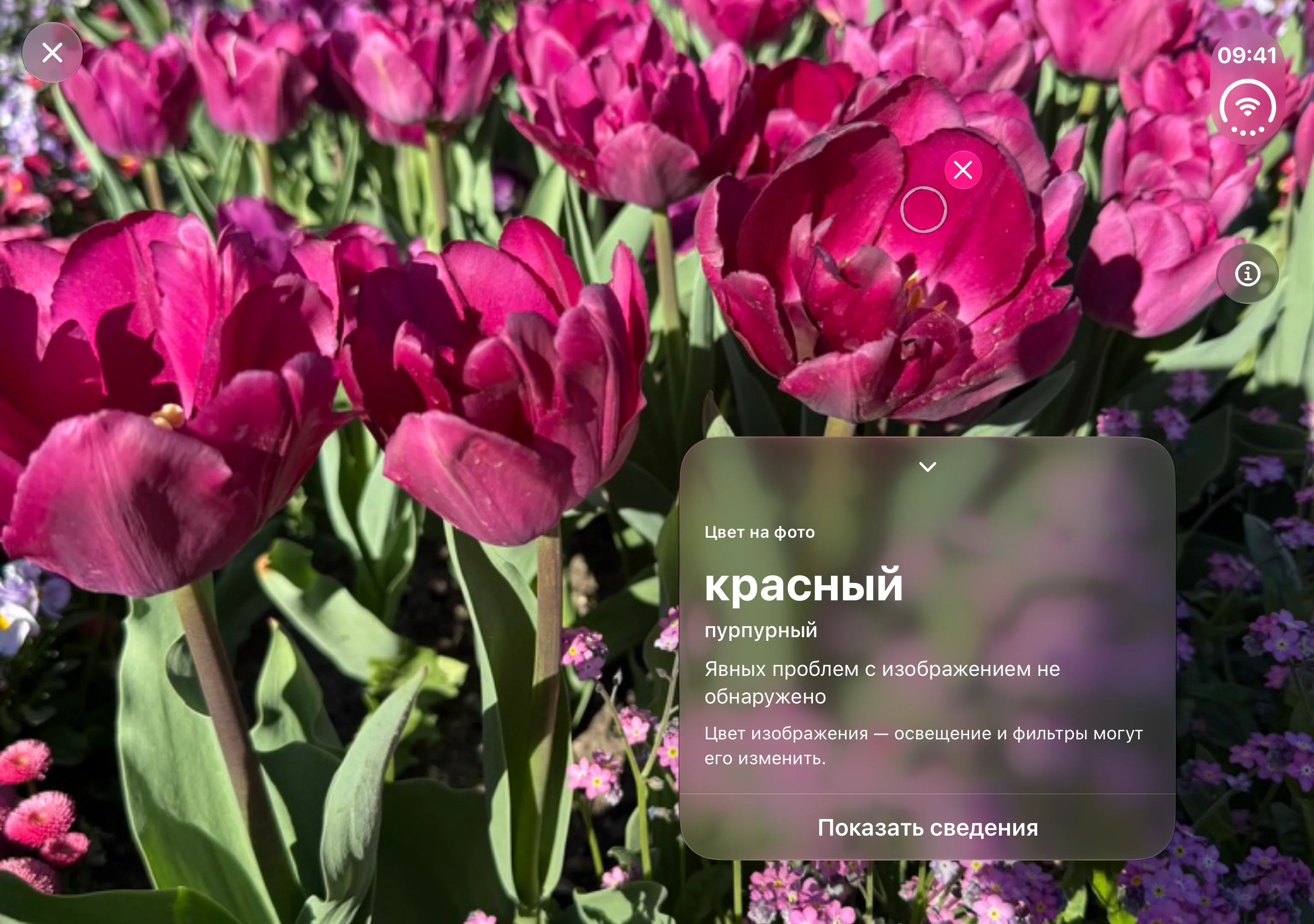 Opsino: фото и круг слева, результат определения цвета справа на внутреннем экране