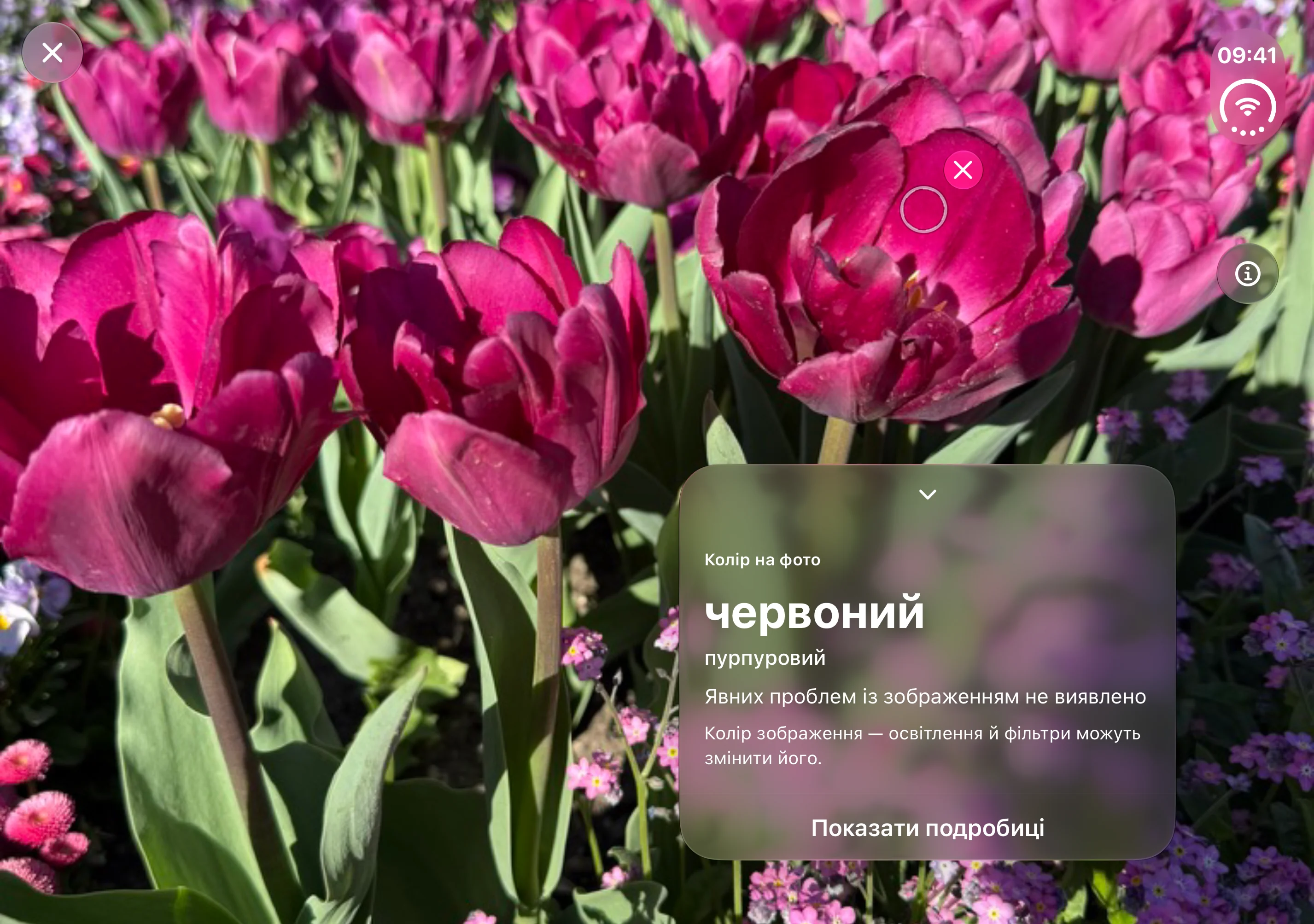 Opsino: фото й коло ліворуч, результат визначення кольору праворуч на внутрішньому екрані