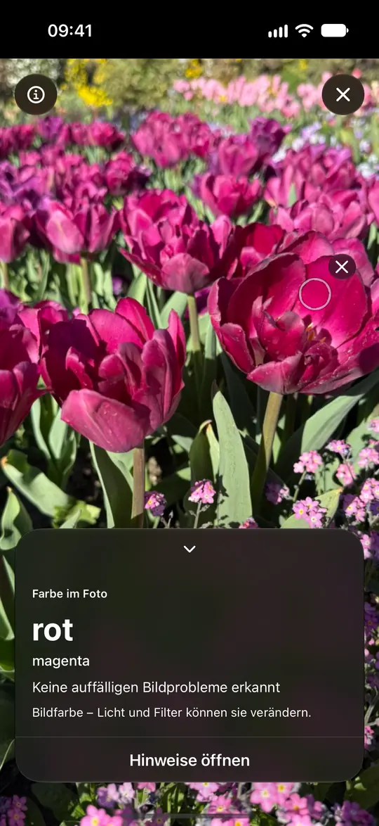 Opsino zeigt die Hauptfarbe Rot und den feineren Farbton Magenta bei aktivierter Kontrasterhöhung und reduzierter Transparenz.